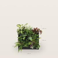 PlantBox
