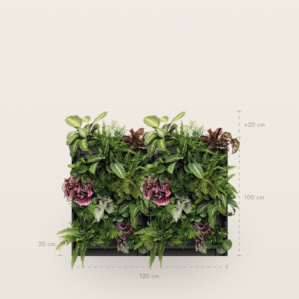 PlantBox - Lebende Wand 10 Module