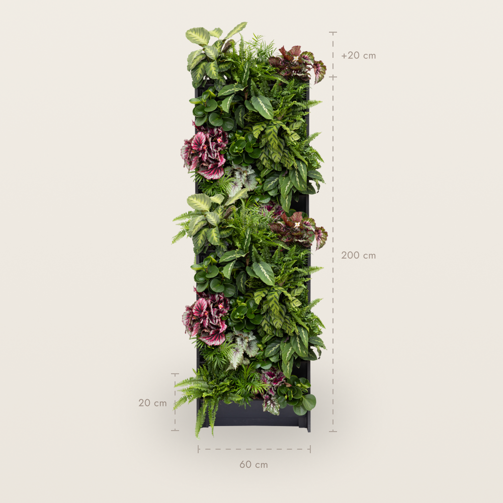 PlantBox - Lebende Wand 10 Module