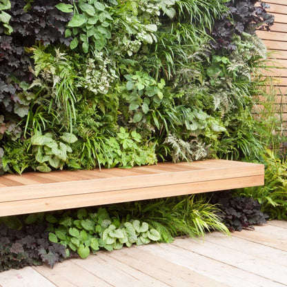 PlantBox - Lebende Wand 10 Module